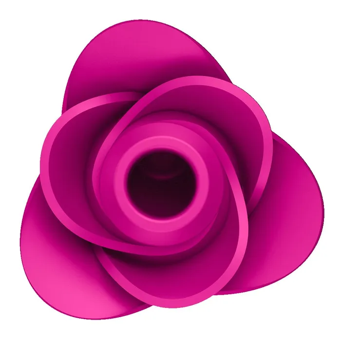 Satisfyer Pro 2 Modern Blossom Air Pulse Vibrator Satisfyer Vibrators Satisfyer Pro 2 Modern Blossom Air Pulse Vibrator Satisfyer Vibrators