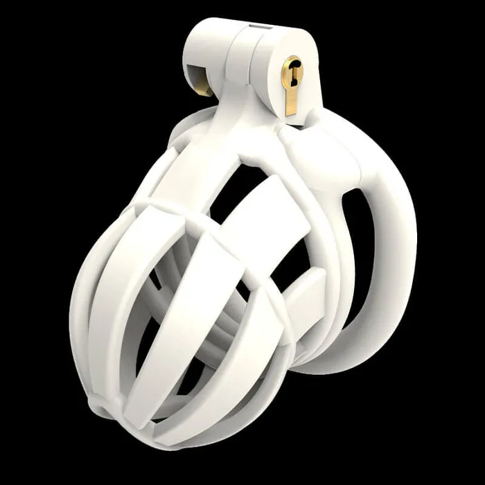 Male Sex Toys CHASTITY CAGE CO 3D Stegosaurus Wide Head Chastity Device Kit